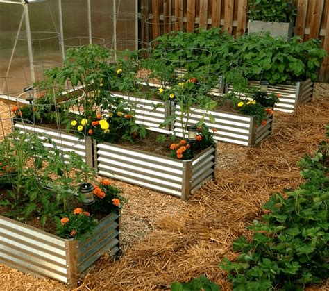 corrugated galvanized sheet metal for garden beds|raised beds with corrugated metal.